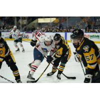 Springfield Thunderbirds center Dakota Joshua vs. the Wilkes-Barre/Scranton Penguins