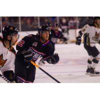 Dino Balsamo of the Knoxville Ice Bears