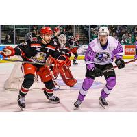 Grand Rapids Griffins defenseman Luke Witkowski (left) vs. the Texas Stars