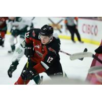 Vancouver Giants right wing Adam Hall vs. the Everett Silvertips