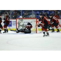 Vancouver Giants goaltender Jesper Vikman makes a save vs. the Everett Silvertips