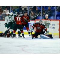 Vancouver Giants goaltender Jesper Vikman vs. the Everett Silvertips