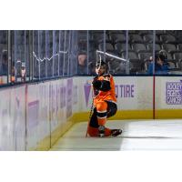 Lehigh Valley Phantoms celebrate a goal