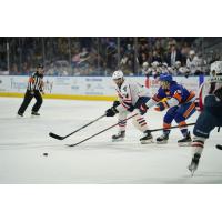 Springfield Thunderbirds with the puck vs. the Bridgeport Islanders