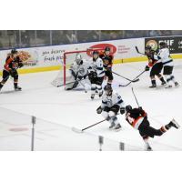 Medicine Hat Tigers take a shot against the Winnipeg ICE