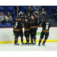 Vancouver Giants celebrate a goal against the Victoria Royals