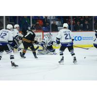 Vancouver Giants centre Ty Thorpe (right) vs. the Victoria Royals defense