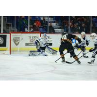 Vancouver Giants left wing Zack Ostapchuk moves in against the Victoria Royals