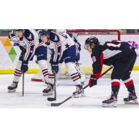 Tri-City Americans vs. the Prince George Cougars