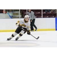 Forward Alex Geci with the Sarnia Sting