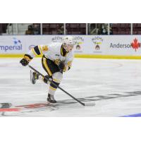 Forward Alex Geci with the Sarnia Sting
