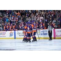 Orlando Solar Bears celebrate a goal