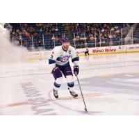 Former Orlando Solar Bears defenseman Carl Nielsen