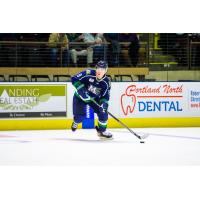 Defenseman Michael Kim with the Maine Mariners