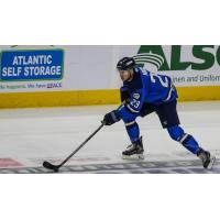 Jacksonville IceMen forward Craig Martin