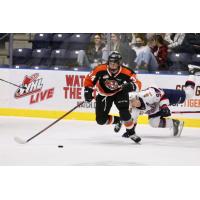 Medicine Hat Tigers left wing Andrew Basha