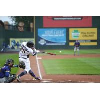 York Revolution first baseman Nellie Rodriguez