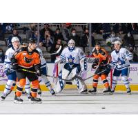 Lehigh Valley Phantoms vs. the Toronto Marlies