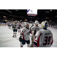 Springfield Thunderbirds exchange congratulations after a win