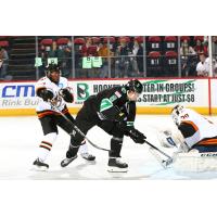 Binghamton Black Bears forward Nikita Ivashkin vs. the Danbury Hat Tricks
