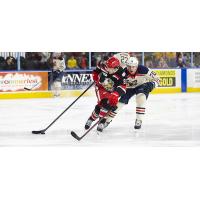 Grand Rapids Griffins left wing Patrick Curry vs. the Milwaukee Admirals