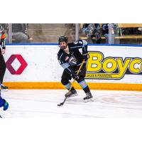 Winnipeg ICE defenseman Omen Harmacy