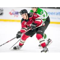 Red Deer Rebels defenceman Hunter Mayo