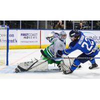 Jacksonville Icemen forward Ara Nazarian shoots around the Florida Everblades goaltender