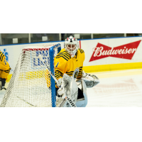 Goaltender Jake Theut with the Norfolk Admirals