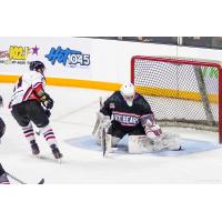 Knoxville Ice Bears goaltender Jimmy Poreda makes a save against the Birmingham Bulls