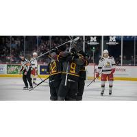 Grand Rapids Griffins watch the Chicago Wolves celebrate a goal