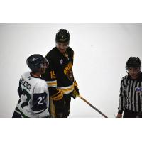 North Iowa captain Sean Vlasich and Austin's Liam Whitehouse