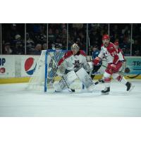 Allen Americans goaltender Hayden Lavigne