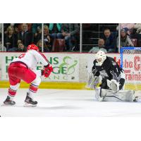 Allen Americans forward Spencer Asuchak takes a shot against the Idaho Steelheads