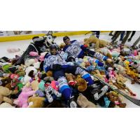 Jacksonville Icemen Teddy Bear Toss