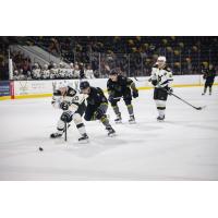Wheeling Nailers forward Justin Almeida (left) races to the puck vs. the Iowa Heartlanders