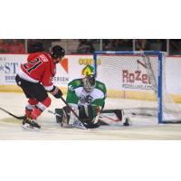 Patrick Grasso of the Adirondack Thunder scores against the Maine Mariners
