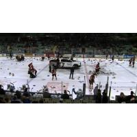 Red Deer Rebels Toque and Teddy Bear Toss