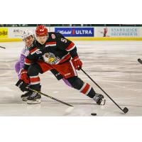 Grand Rapids Griffins center Kyle Criscuolo