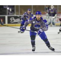 Roanoke Rail Yard Dawgs forward Josh Nenadal