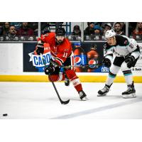 Defenseman Charlie Pelnik with the Carolina Thunderbirds