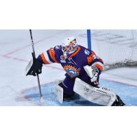 Orlando Solar Bears goaltender Brad Barone