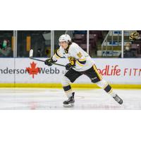 Sarnia Sting forward Justin O'Donnell