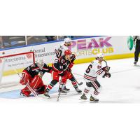 Grand Rapids Griffins goaltender Calvin Pickard and defenseman Wyatt Newpower vs. the Rockford IceHogs