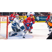 Victoria Royals goaltender Arnold Campbell vs. the Spokane Chiefs
