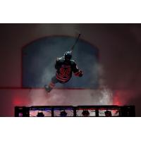 Regina Pats forward Connor Bedard