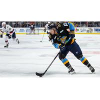 Toledo Walleye forward Matt Berry