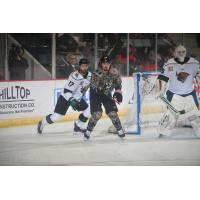 Forward Nick Devito with the Adirondack Thunder (center)