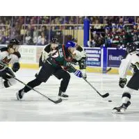 Roanoke Rail Yard Dawgs forward Danny Cangelosi