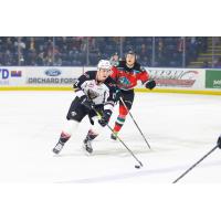 Vancouver Giants left wing Adam Hall (left) vs. the Kelowna Rockets